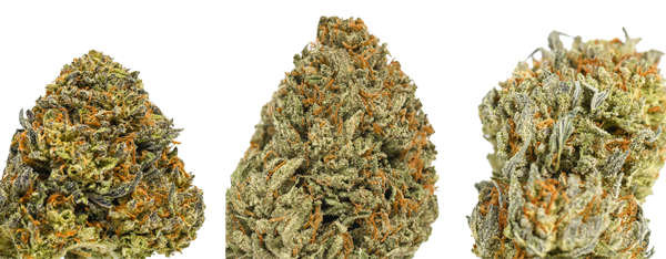 swami-select-flowers