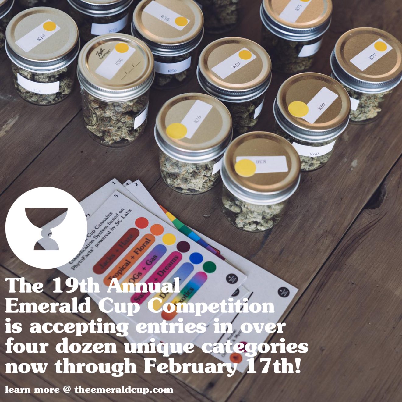 Emerald Cup Competition 2023